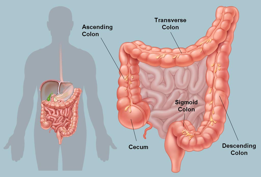 Advanced Colorectal Cancer Treatment Hospital in Hyderabad, laparoscopic hernia repair surgery doctor near me