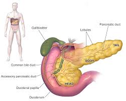 Best Laparoscopic technique for Gallbladder removal in Hyderabad, gallbladder surgery specialists near me